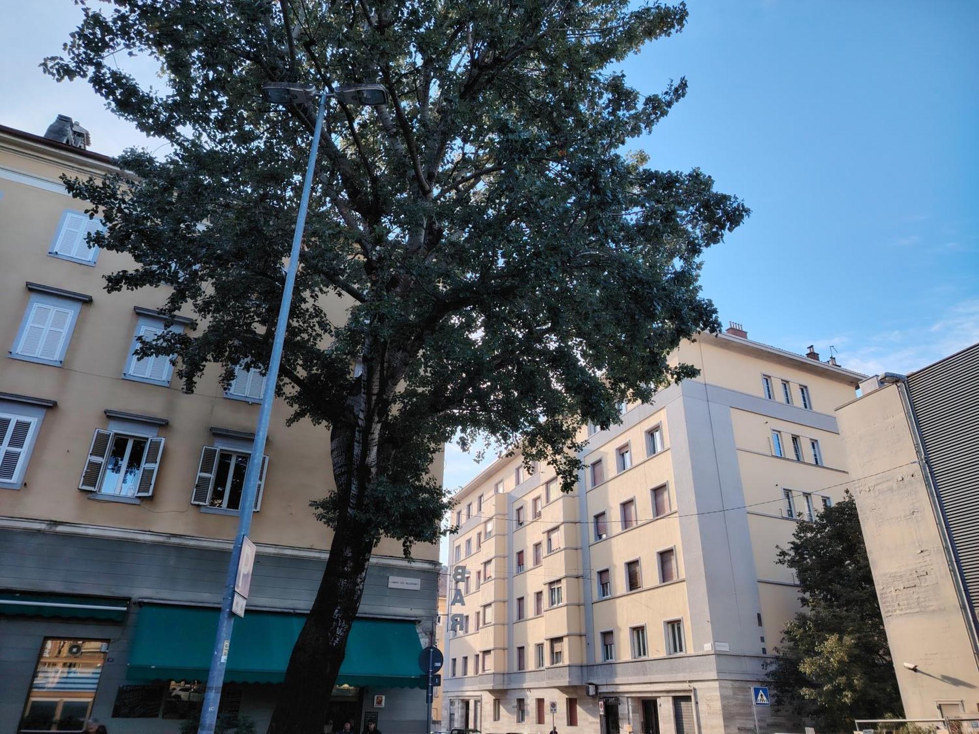 Fabio Haus Трієст Екстер'єр фото